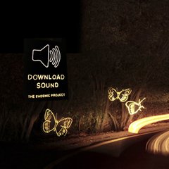 Bryan Little · The Endemic Project